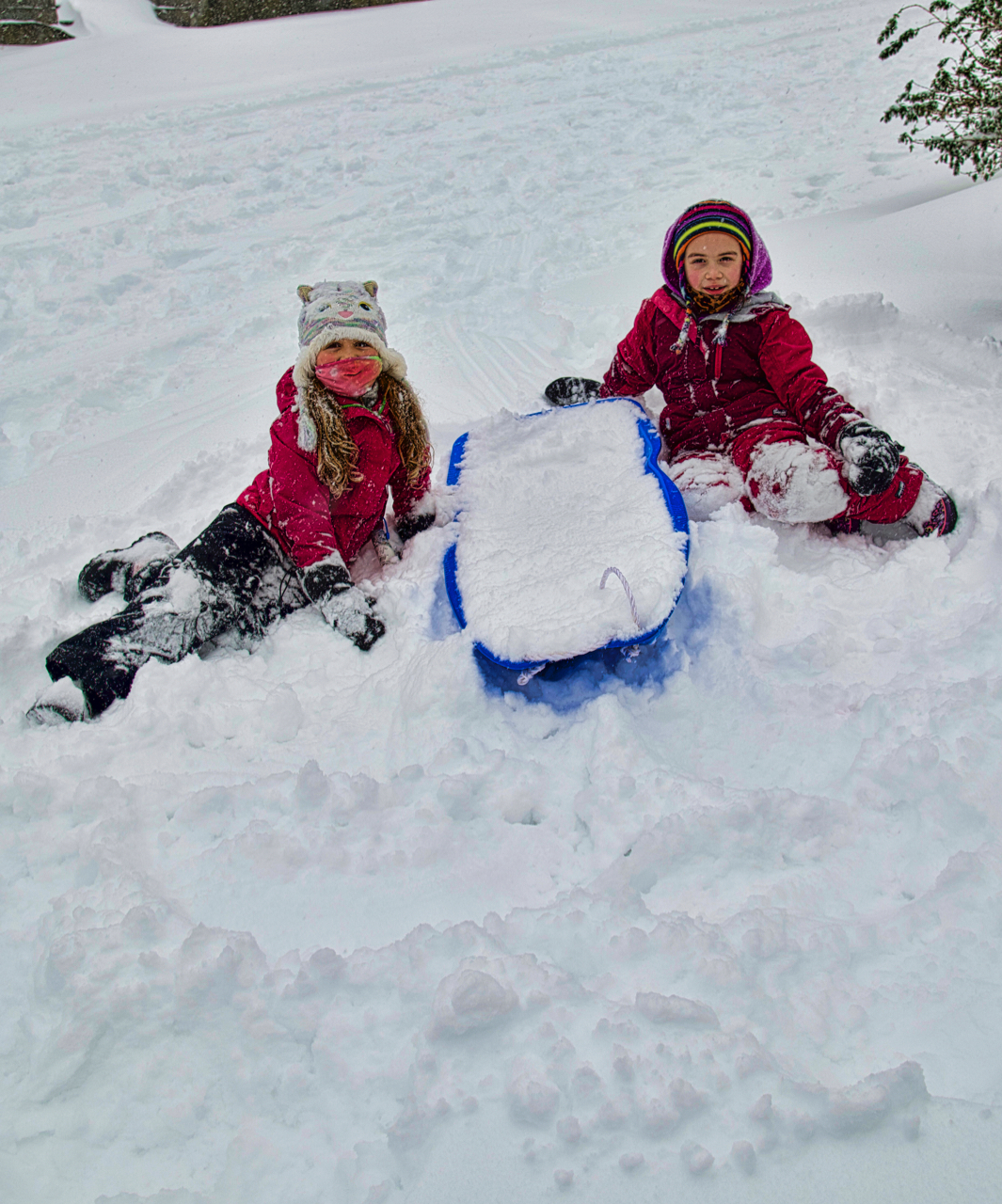 Kids know what to do when it snows...Have fun! Westside Seattle